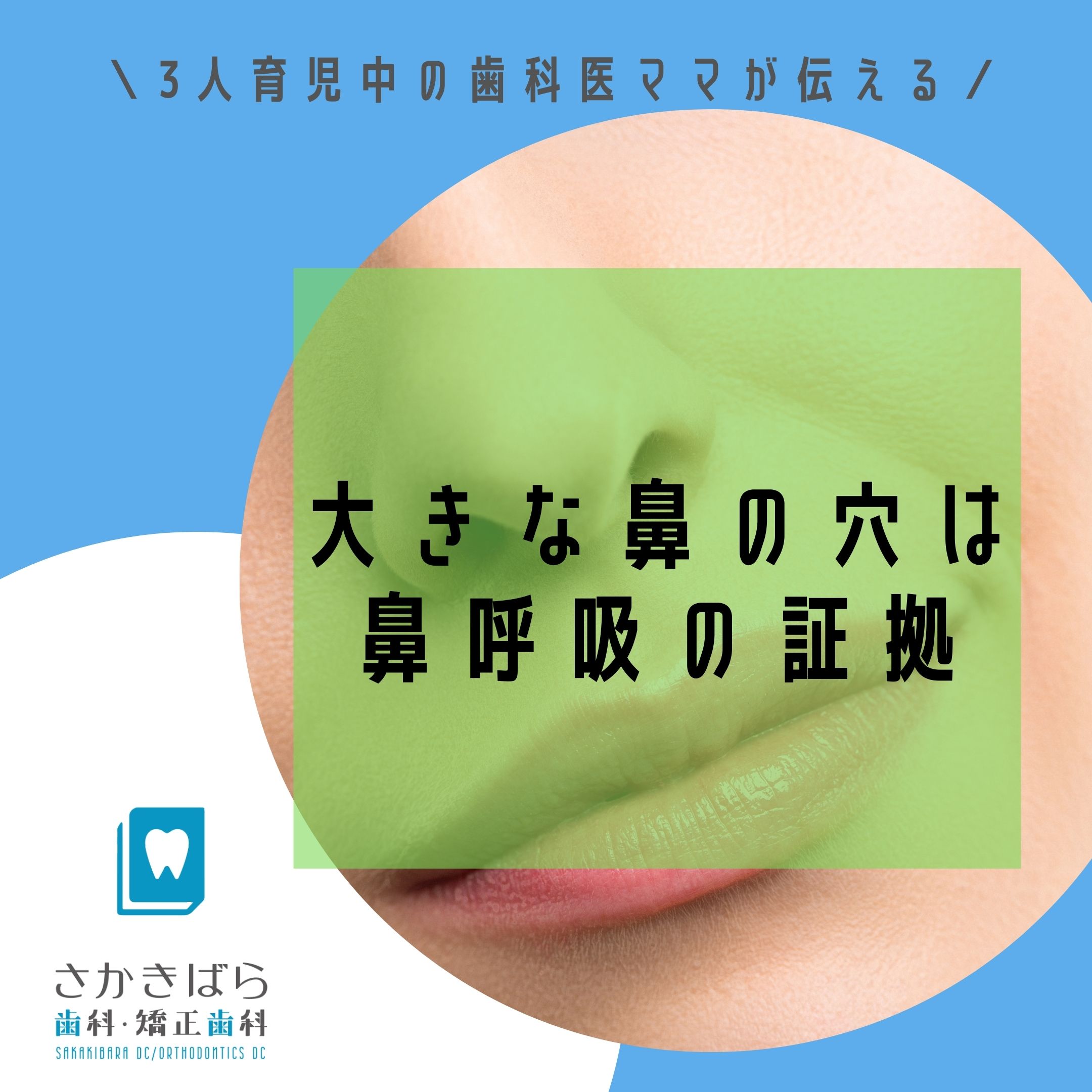 大きな鼻の穴は鼻呼吸の証拠 さかきばら歯科・矯正歯科 大きな鼻の穴は鼻呼吸の証拠 さかきばら歯科・矯正歯科